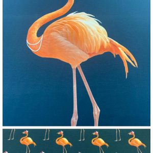 Flamingo uz tumši zila fona