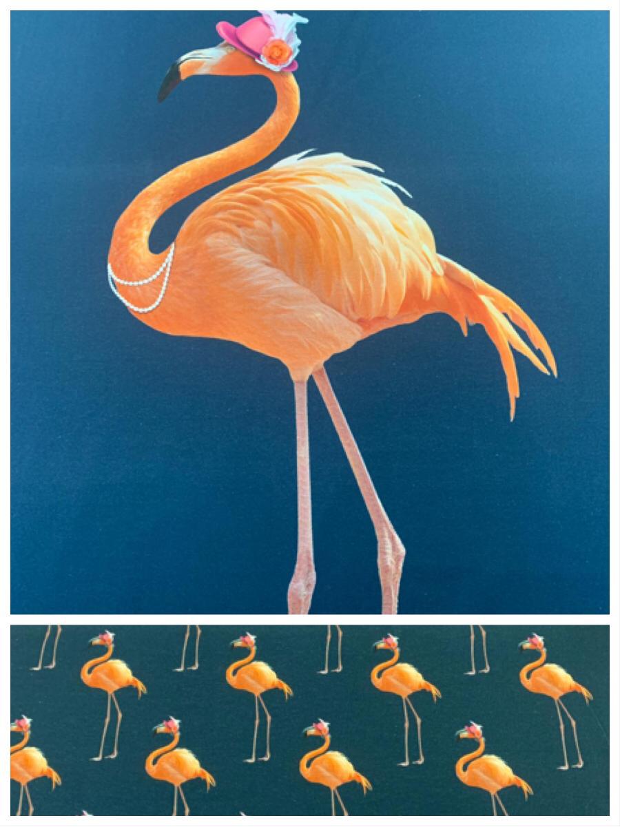 Flamingo uz tumši zila fona