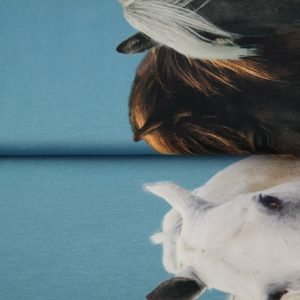 Zirgi – malas apdruka